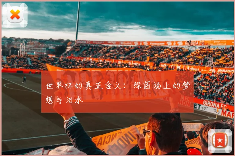 世界杯的真正含义：绿茵场上的梦想与泪水