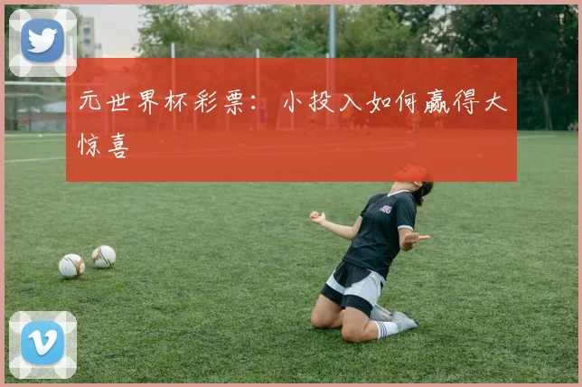 元世界杯彩票：小投入如何赢得大惊喜