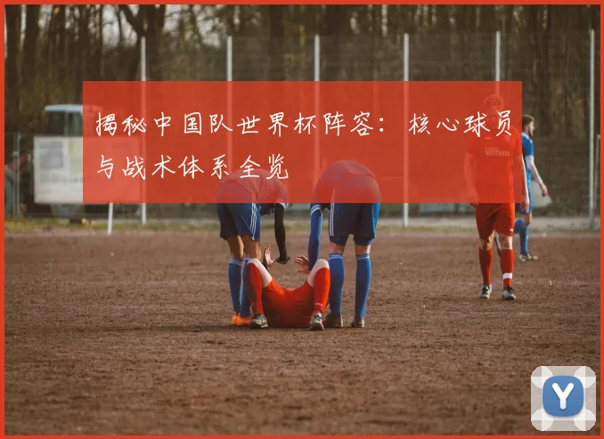 揭秘中国队世界杯阵容：核心球员与战术体系全览
