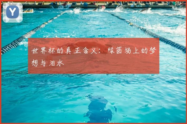 世界杯的真正含义：绿茵场上的梦想与泪水