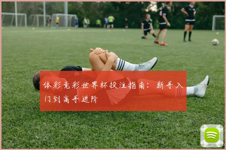 体彩竞彩世界杯投注指南：新手入门到高手进阶