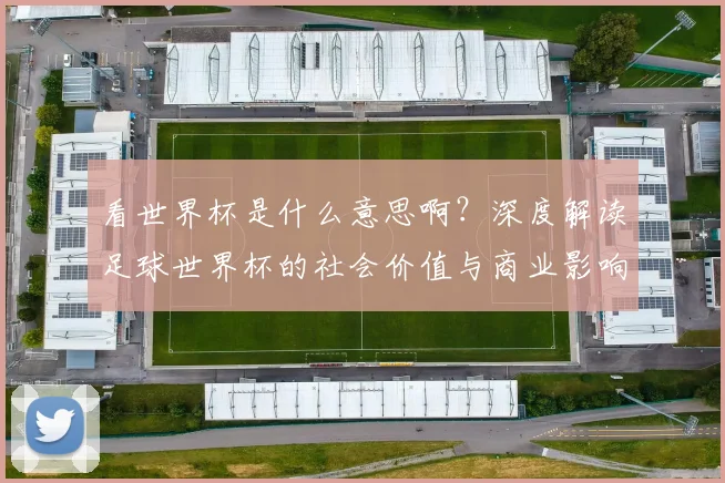 看世界杯是什么意思啊？深度解读足球世界杯的社会价值与商业影响