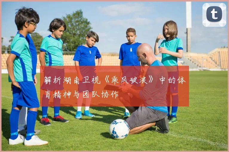 解析湖南卫视《乘风破浪》中的体育精神与团队协作