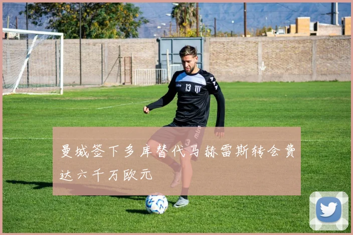 曼城签下多库替代马赫雷斯转会费达六千万欧元