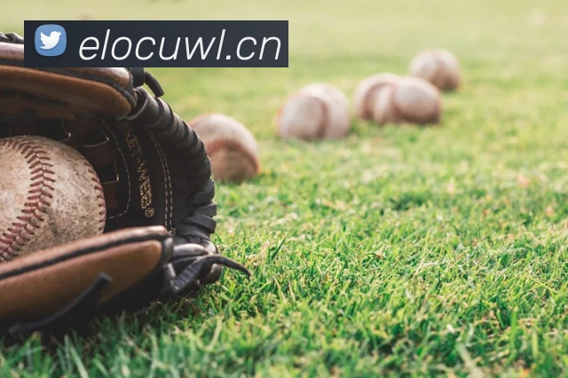 开云kaiyun体育app注册流程APP 高清赛事图